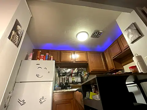 Snapshot of odbodu chatting on 10-04-25, 10:13 odbodu online show from 10-04-25, 10:13