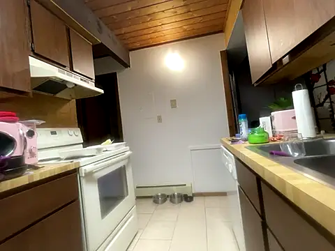 Snapshot of odbodu chatting on 11-14-25, 06:06 odbodu online show from 11-14-25, 06:06