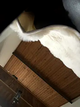 Snapshot of odbodu chatting on 11-22-25, 08:52 odbodu online show from 11-22-25, 08:52