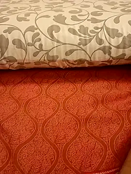 Snapshot of Bull8 chatting on 03-02-25, 11:42 Bull8 online show from 03-02-25, 11:42