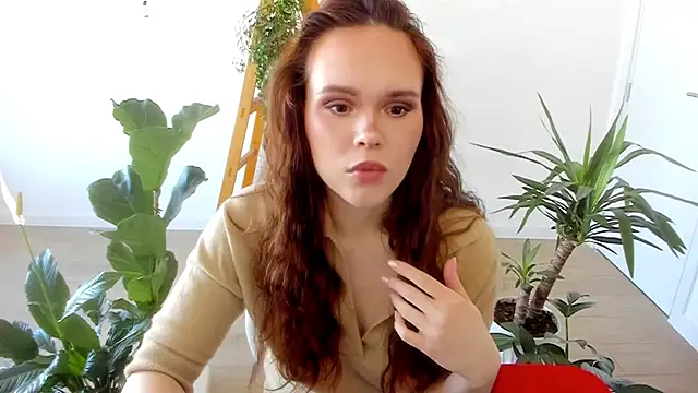 Pokemeboy online show from 01-31-25, 10:20