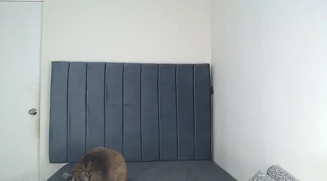 Snapshot of Chanelsexyy chatting on 03-06-25, 11:53 Chanelsexyy online show from 03-06-25, 11:53