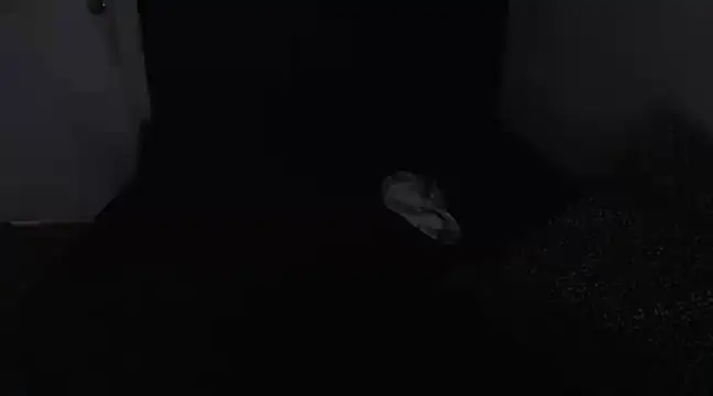 Snapshot of Chanelsexyy chatting on 03-16-25, 08:43 Chanelsexyy online show from 03-16-25, 08:43