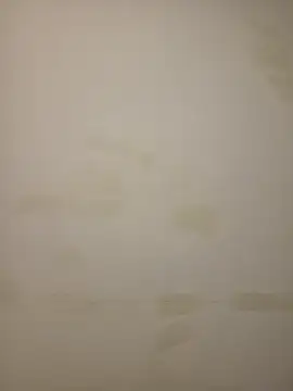 Adivaaa online show from 02-12-26, 10:54