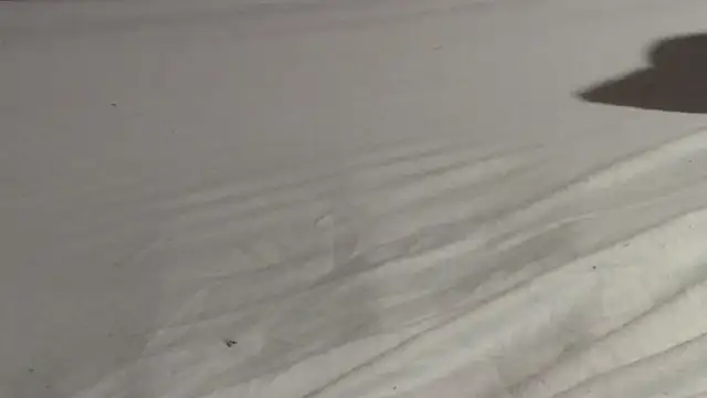 Vandrino online show from 03-15-25, 03:07