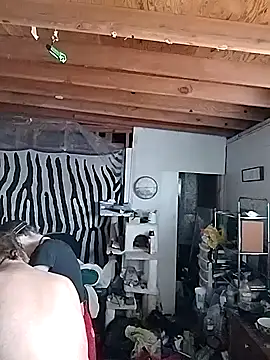 N8daMac online show from 11-11-25, 05:02