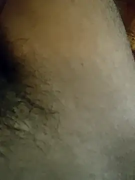 Samsharma1170 online show from 01-31-25, 03:55