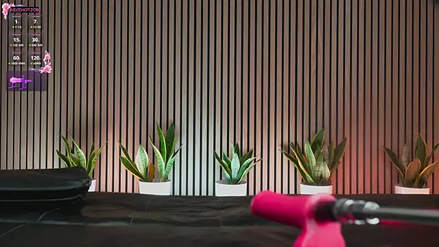 Snapshot of NiceHotJob chatting on 02-03-25, 07:00 NiceHotJob online show from 02-03-25, 07:00