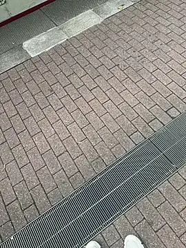 Snapshot of Lionayowe chatting on 09-27-25, 01:16 Lionayowe online show from 09-27-25, 01:16