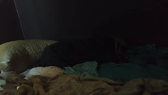 Snapshot of k-dong chatting on 02-01-26, 04:49 k-dong online show from 02-01-26, 04:49