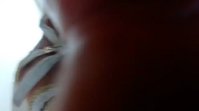 Ixchel Anaid online show from 03-14-25, 12:10