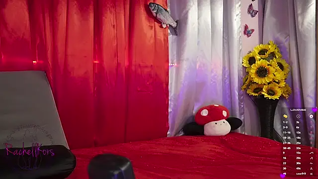 Rachellkors online show from 02-17-25, 11:34