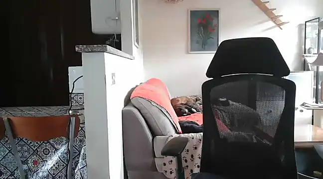 simona60 online show from 02-23-25, 02:14