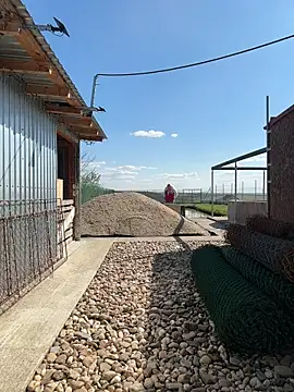 SabinaSweety online show from 04-10-26, 12:43