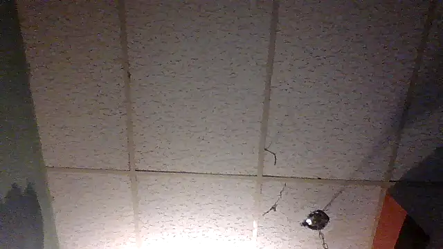 Snapshot of moipipi2 chatting on 12-07-24, 04:31 moipipi2 online show from 12-07-24, 04:31