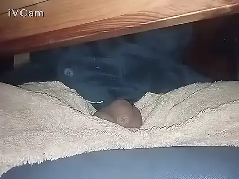 Bigdick666cm online show from 03-06-25, 03:13