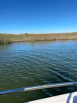 Goonwithoutclinching online show from 01-10-26, 09:16