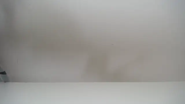 Snapshot of salomecastro_ chatting on 11-19-25, 06:30 salomecastro online show from 11-19-25, 06:30