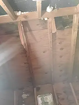 Snapshot of MaddyC6992 chatting on 12-26-24, 12:49 MaddyC6992 online show from 12-26-24, 12:49