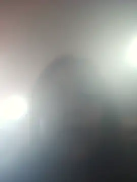 DORYY online show from 07-17-26, 01:56