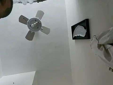 tropikboy online show from 03-23-26, 12:09