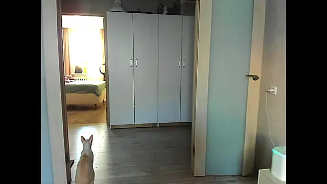 sweeetgirls2021 online show from 12-12-24, 02:04