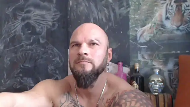 viking 30 online show from 11-06-25, 08:15