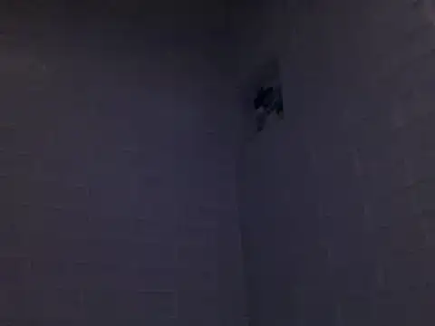 Snapshot of readyforfunxxx chatting on 12-08-24, 03:13 readyforfunxxx online show from 12-08-24, 03:13