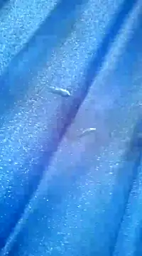 Snapshot of Luismiguel55 chatting on 03-08-25, 10:11 Luismiguel55 online show from 03-08-25, 10:11