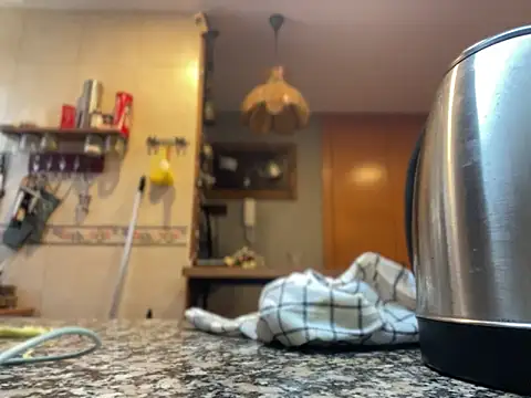 camelia3 online show from 11-22-25, 12:48