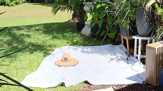 eliberator1777 online show from 09-21-25, 05:03