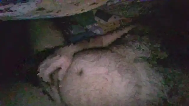 gerilom8787 online show from 02-04-26, 02:45