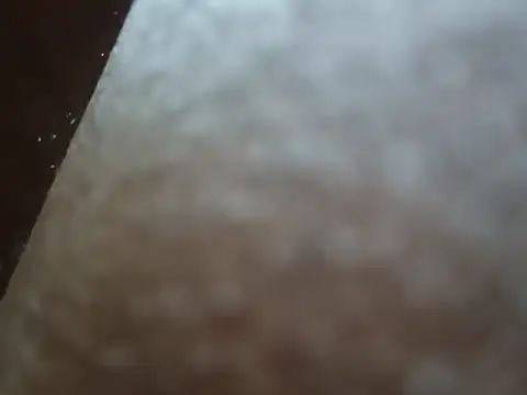 PrinceNoAlbert online show from 12-06-24, 03:33