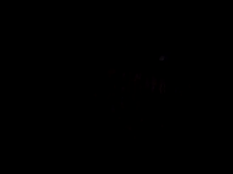 catdool online show from 02-14-25, 11:31