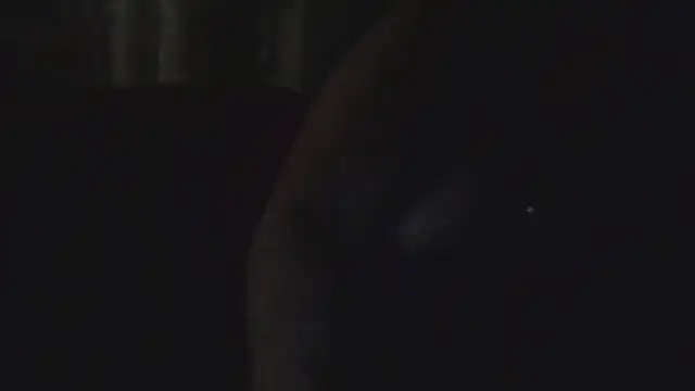 Snapshot of Dolcezza chatting on 11-24-25, 03:17 Dolcezza online show from 11-24-25, 03:17