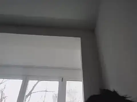 FallenDevil online show from 01-25-25, 11:55