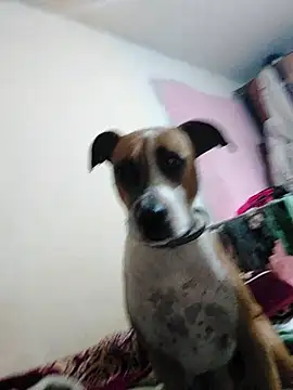 JoLeNe27 online show from 10-06-25, 04:54