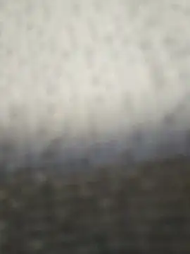 fit ass 2021 online show from 07-11-26, 03:04