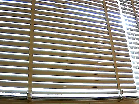 papiculo86 online show from 01-26-25, 02:41