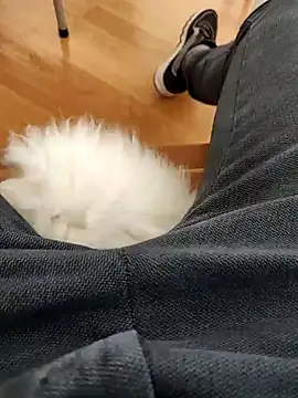 papiculo86 online show from 02-02-25, 09:08