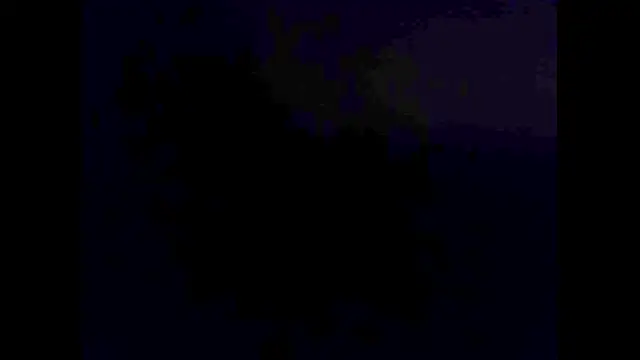 hairyuncut00 online show from 11-02-25, 06:10