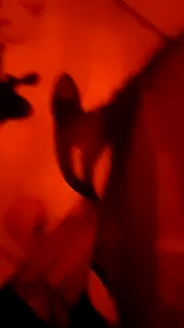 Misspadrona88 online show from 03-04-26, 09:32