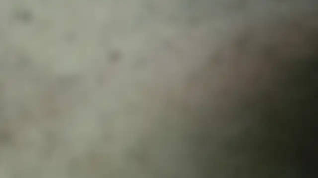 netuhubby online show from 01-24-25, 08:43