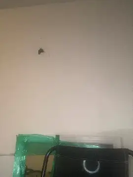 Foreignthababyy online show from 01-13-26, 03:12