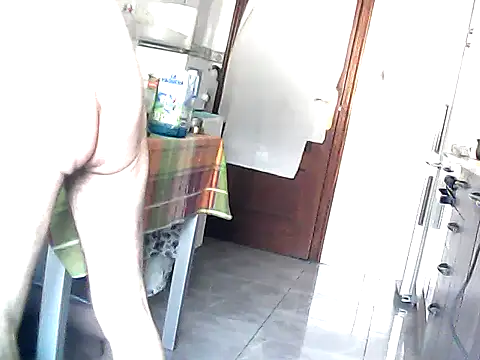 bixesualactivo online show from 04-20-26, 04:54