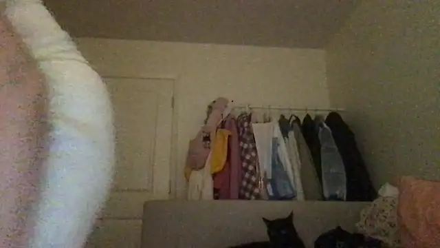 HYPHYtype online show from 09-23-25, 07:44