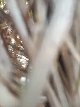 FinableKnee online show from 09-19-25, 04:47