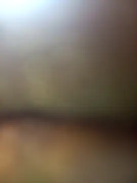 FinableKnee online show from 11-27-25, 05:31