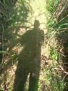 FinableKnee online show from 11-30-25, 06:06