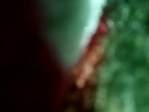 Snapshot of Rittik00 chatting on 01-11-26, 02:33 Rittik00 online show from 01-11-26, 02:33